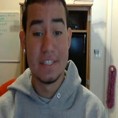 03.02 Describe the Family Visual Presentation