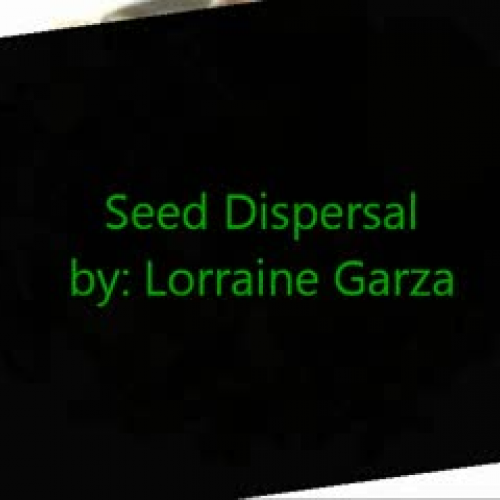 Have Seeds, Will Travel MovieMaker