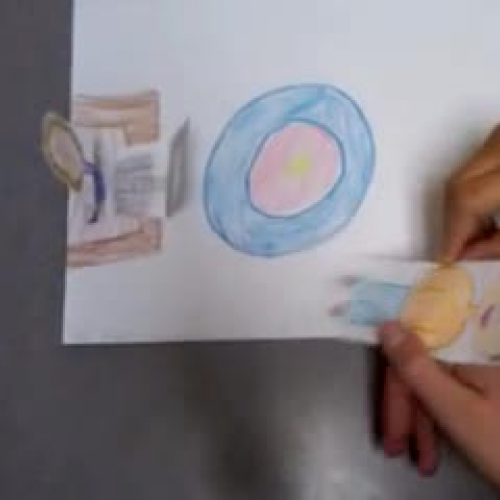 Maddie's group final