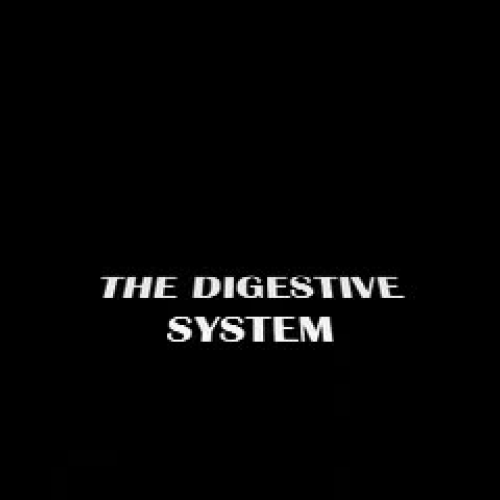 Tommy's final project