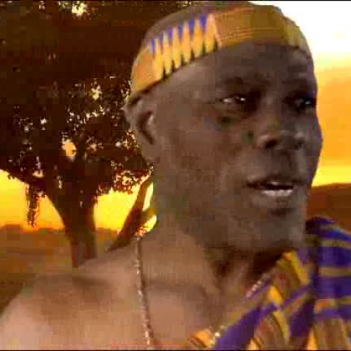 eagle and the birds of earth