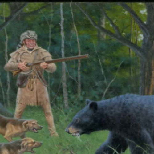 Davy Crockett Birthplace Video Field Trip