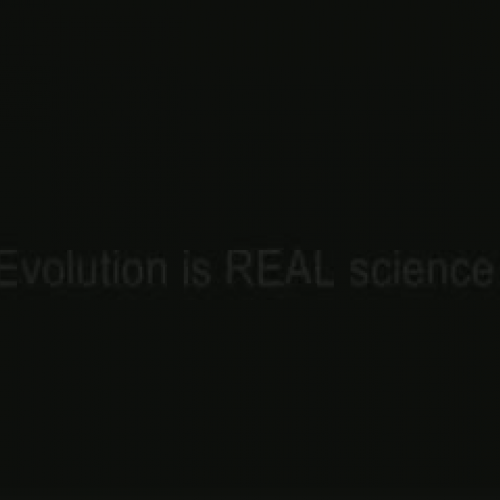 Evolution Evidence