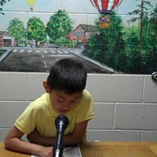 Lots of funny sport video