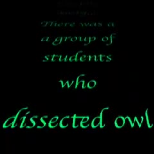 Owl Pellet Dissection 2010
