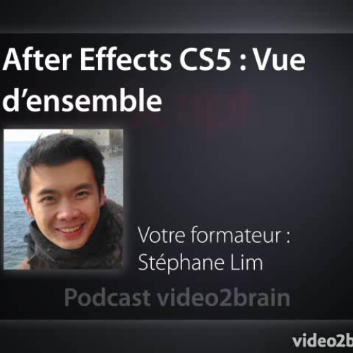 Adobe After Effects CS5 : Vue d'ensemble