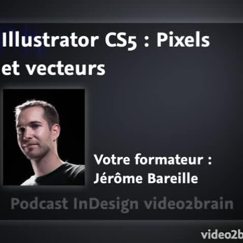 Illustrator CS5 : Pixels et vecteurs