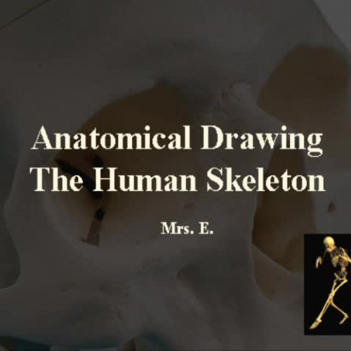 Drawing the Human Skeleton