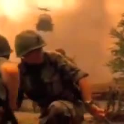 Veteran's Day Tribute