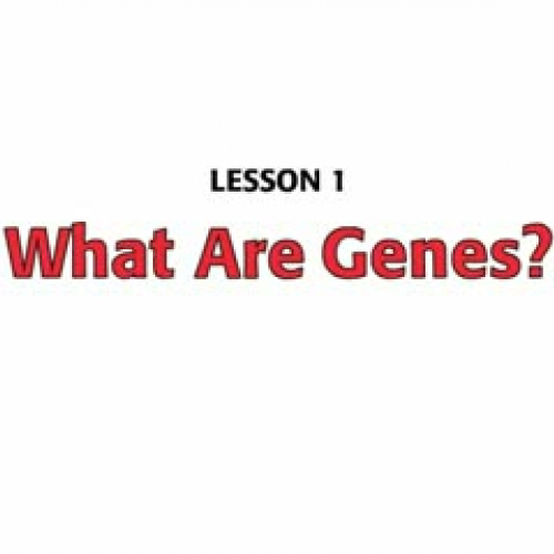 What are Genes?