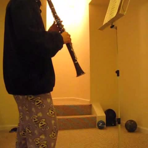 Mozart Concerto Movement 2 Excerpt