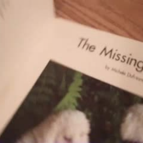 The Missing Puppy