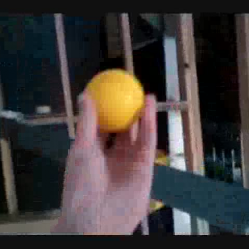 Rube Goldburg Project