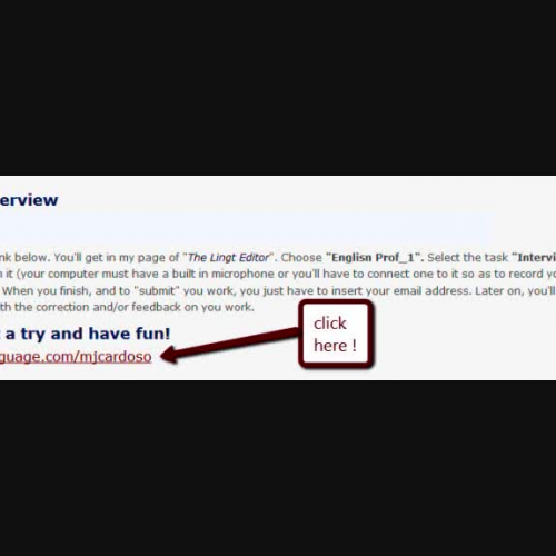 Lingt Editor Tutorial