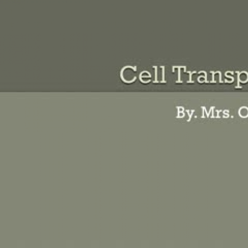 Cell Transport