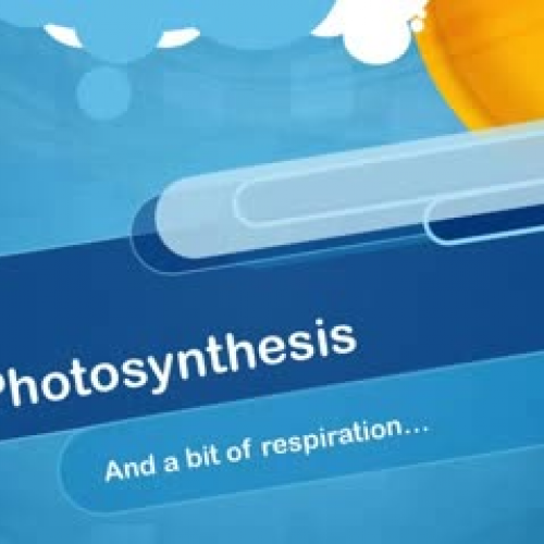 Photosynthesis