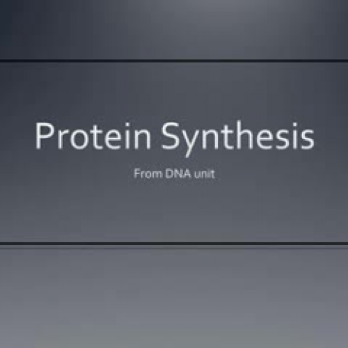 Protein Synthesis