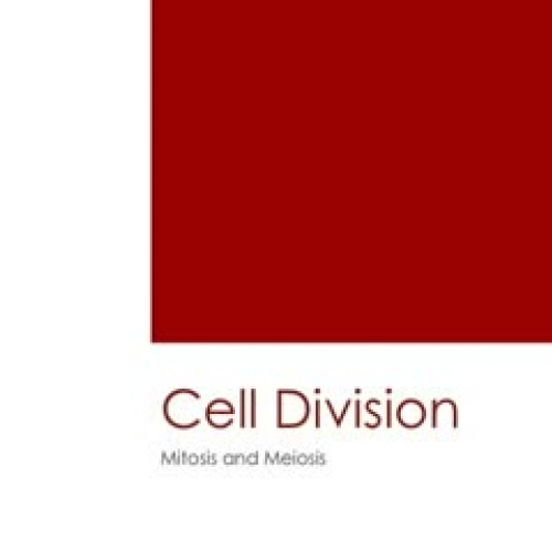 Cell Division