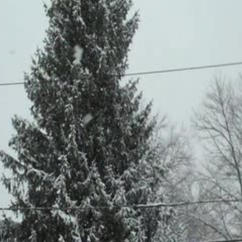 Snowstorm Test Video