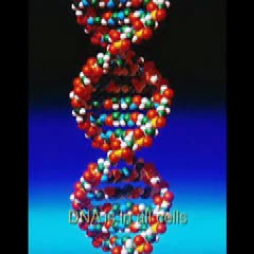 DNA song
