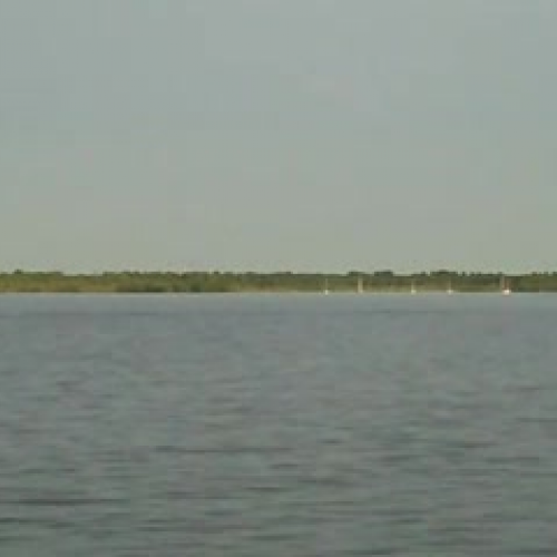 Fitzgerald Elementary