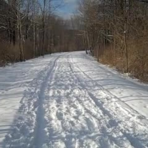 Blake's Pine Creek Tour