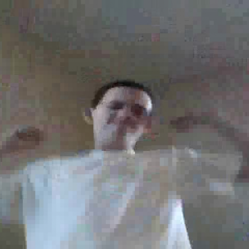 3.02 Describe The Family Video Presetation