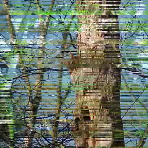 The Capture Book Trailer