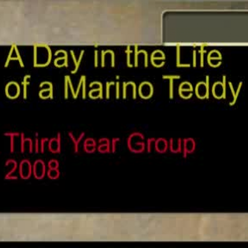 Video elective sample clips