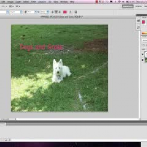 Photoshop's Eyedropper Tool
