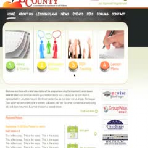 Website homepage overview