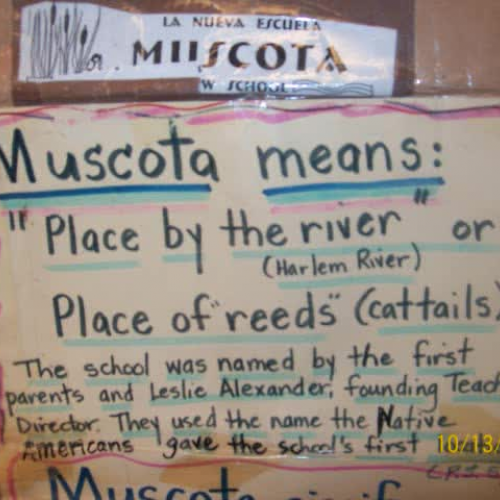 Muscota Collaborations