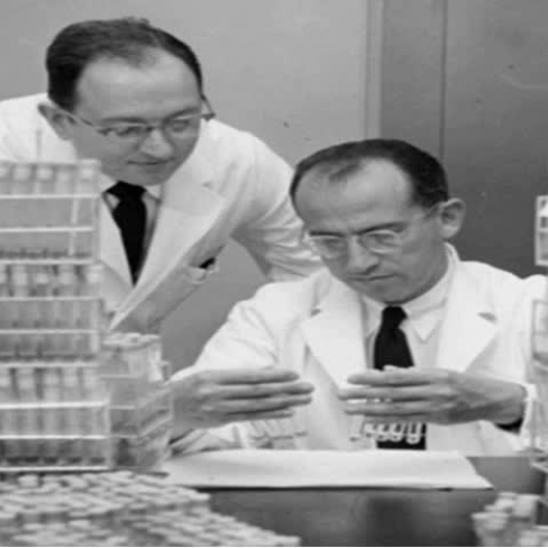 Doing Lab Work for Jonas Salk