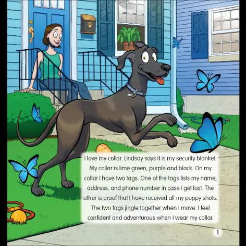 Cheeky's Security Blanket