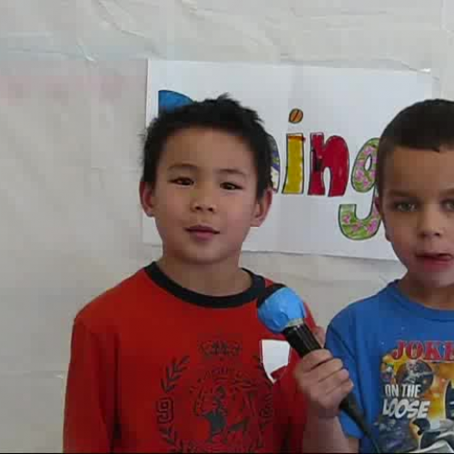 Cheetah Hotel Part 2