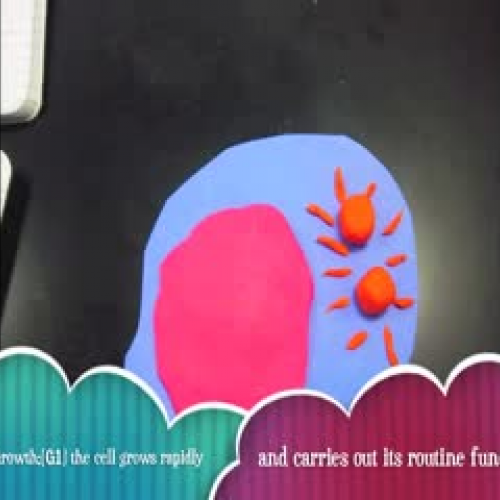 Claymation Project: Mitosis