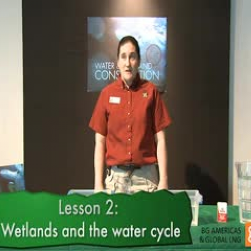 Water and Wetland Conservation-Lesson 2