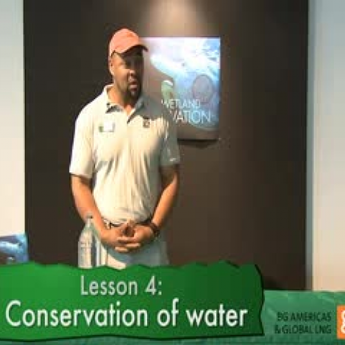 Water and Wetland Conservation-Lesson 4