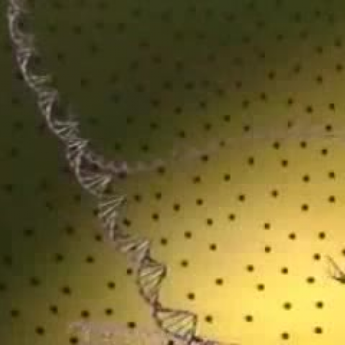 EDIT 202 Sample Video