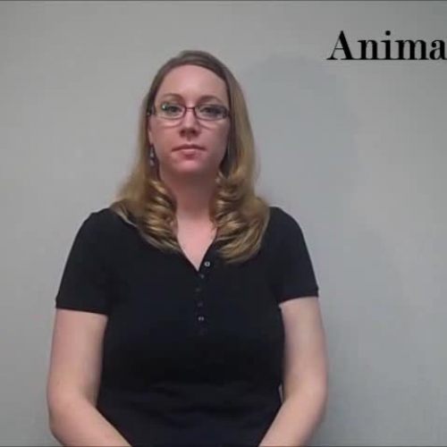Animals 1