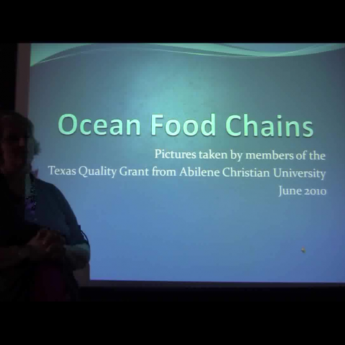 Ocean Food Chains