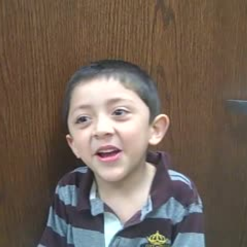 Curious Garden - Mrs. Cardinal