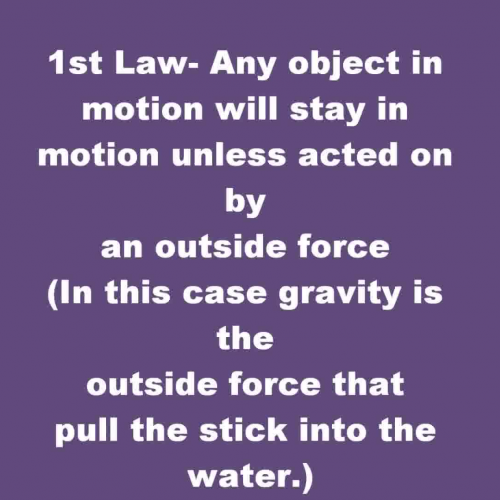newtons laws by kajal and katherine