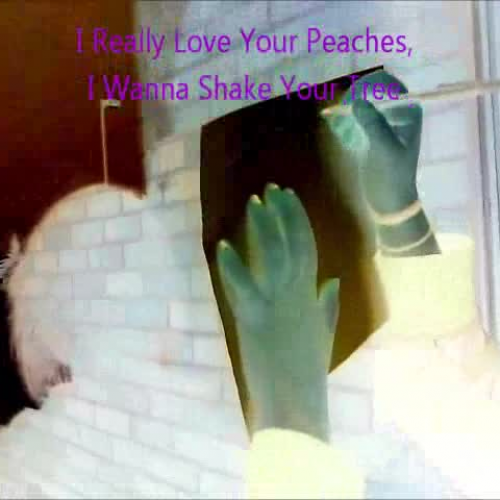 My metaphor movie for english