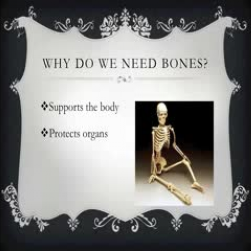 Bones