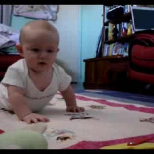 Learning to crawl