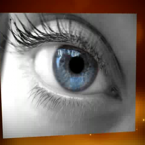 Graceling by Kristin Cashore