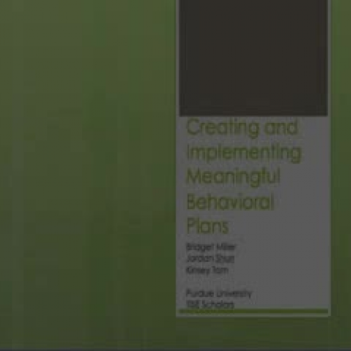 Meaningful Behavior Plans