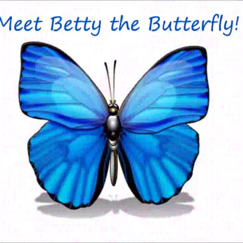 The Life of a Butterfly!