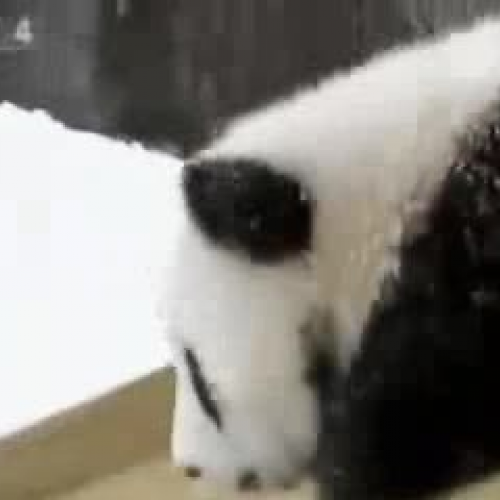 EDIT 202 Sample Video